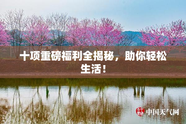 十项重磅福利全揭秘，助你轻松生活！