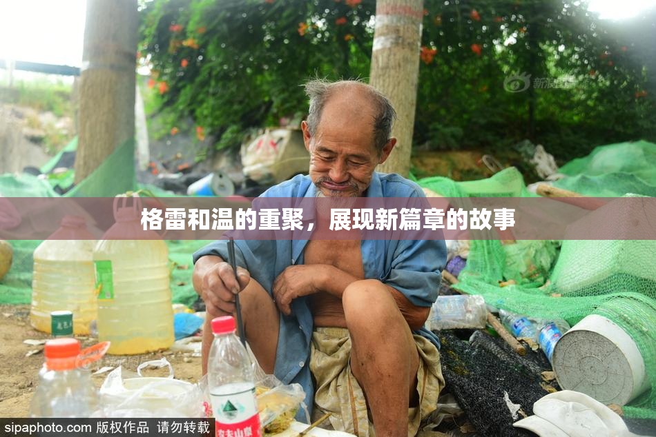 格雷和温的重聚，展现新篇章的故事