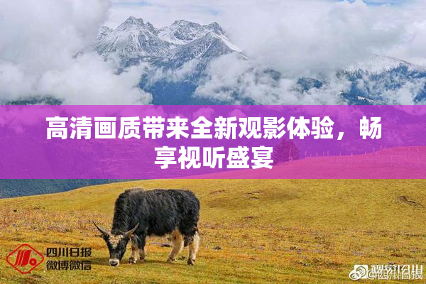 高清画质带来全新观影体验，畅享视听盛宴
