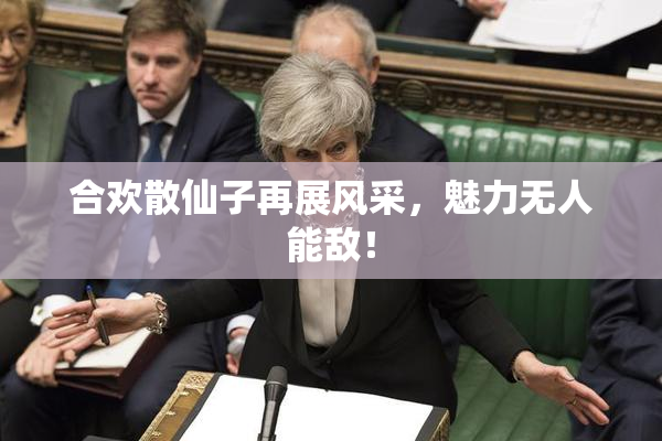 合欢散仙子再展风采，魅力无人能敌！