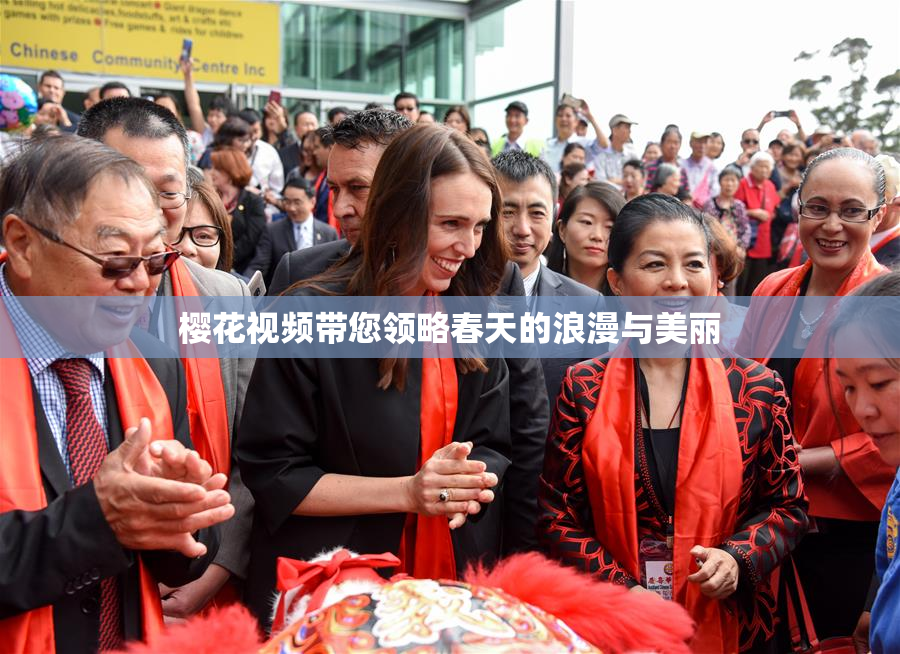 樱花视频带您领略春天的浪漫与美丽