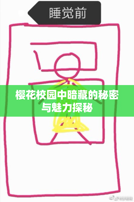 樱花校园中暗藏的秘密与魅力探秘