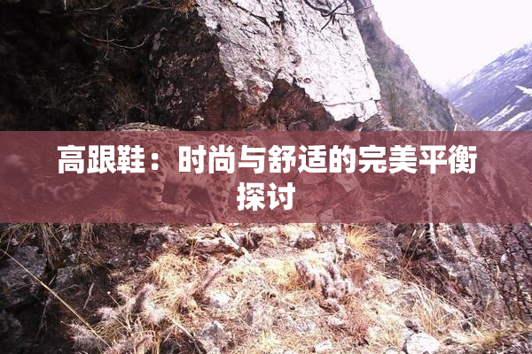 高跟鞋：时尚与舒适的完美平衡探讨