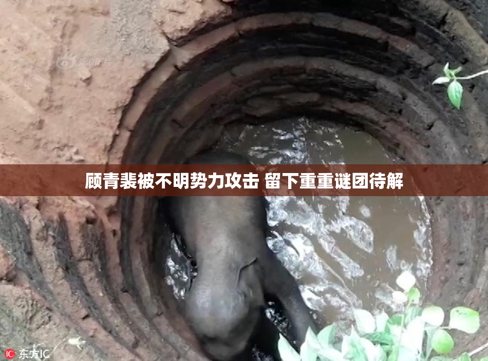 顾青裴被不明势力攻击 留下重重谜团待解