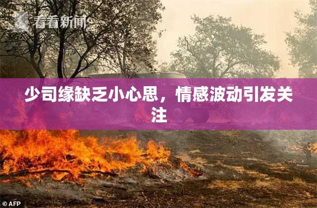少司缘缺乏小心思，情感波动引发关注