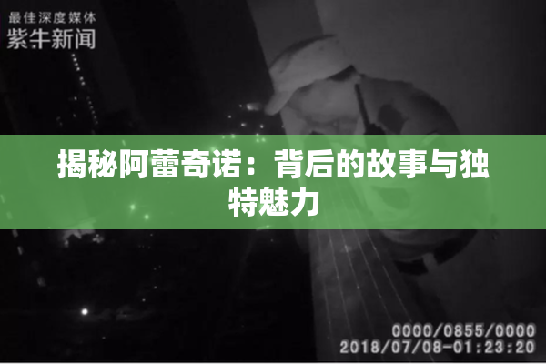 揭秘阿蕾奇诺：背后的故事与独特魅力