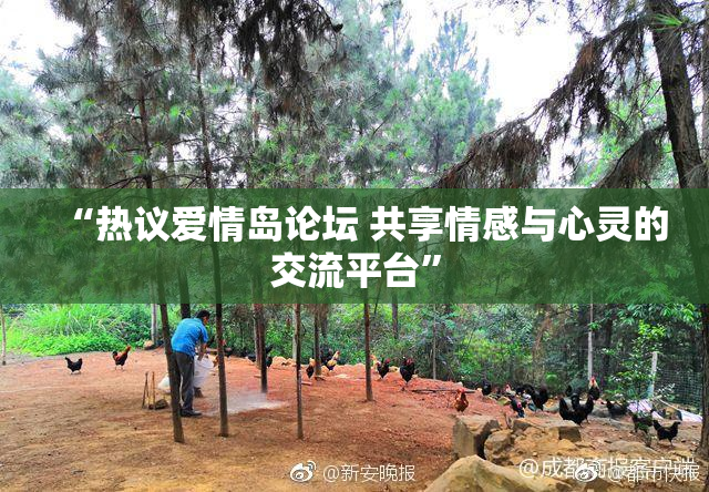 “热议爱情岛论坛 共享情感与心灵的交流平台”