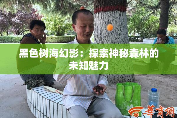 黑色树海幻影：探索神秘森林的未知魅力