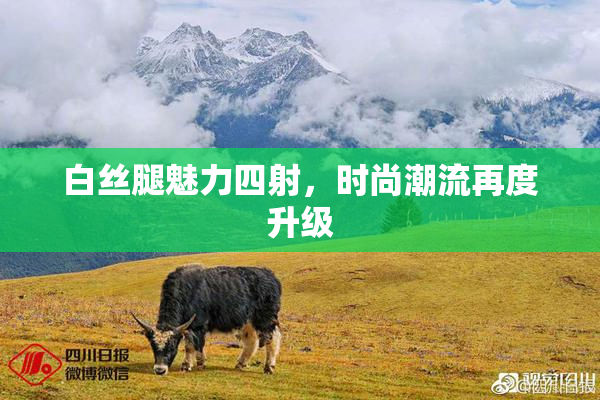 白丝腿魅力四射，时尚潮流再度升级