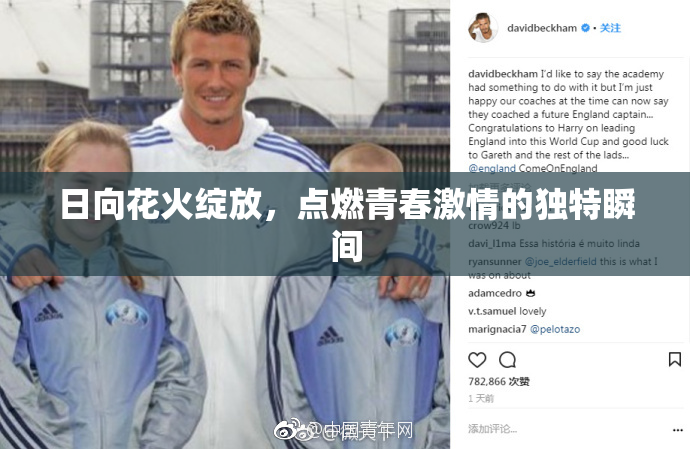 日向花火绽放，点燃青春激情的独特瞬间