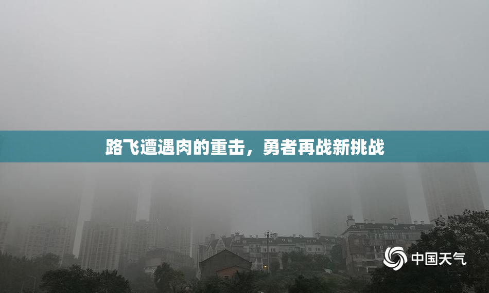 路飞遭遇肉的重击，勇者再战新挑战