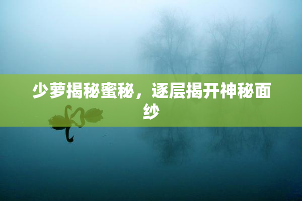 少萝揭秘蜜秘，逐层揭开神秘面纱