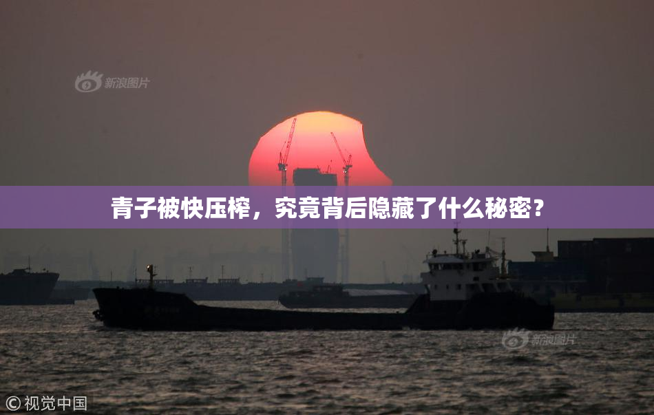 青子被快压榨，究竟背后隐藏了什么秘密？