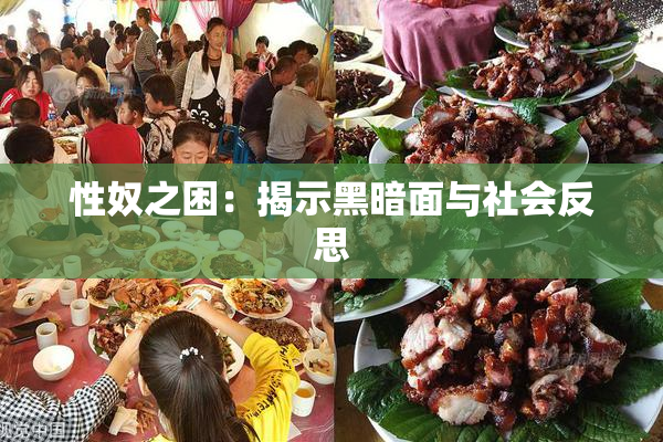 性奴之困：揭示黑暗面与社会反思