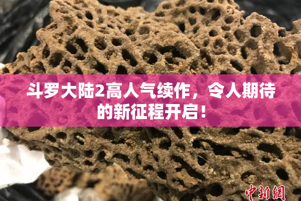 斗罗大陆2高人气续作，令人期待的新征程开启！