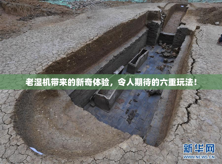 老湿机带来的新奇体验，令人期待的六重玩法！