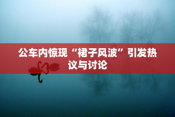 公车内惊现“裙子风波”引发热议与讨论
