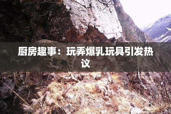 厨房趣事：玩弄爆乳玩具引发热议