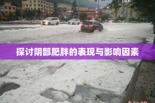 探讨阴部肥胖的表现与影响因素