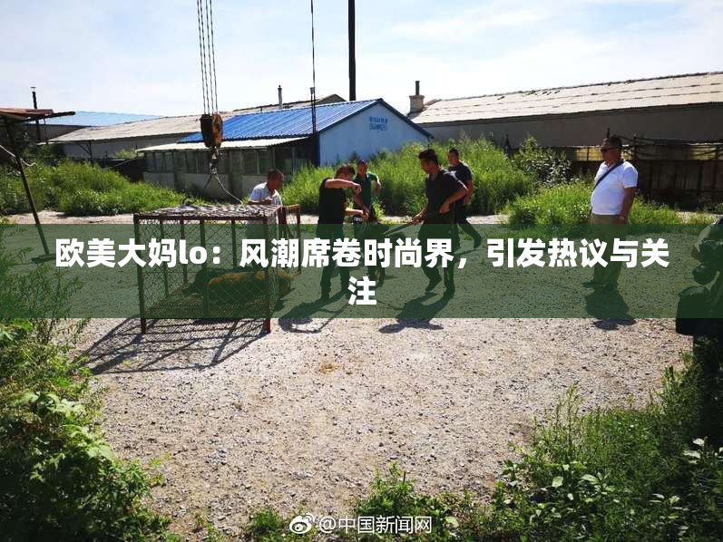 欧美大妈lo：风潮席卷时尚界，引发热议与关注