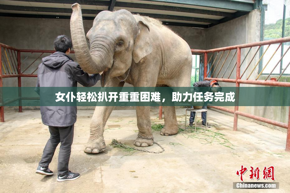 女仆轻松扒开重重困难，助力任务完成