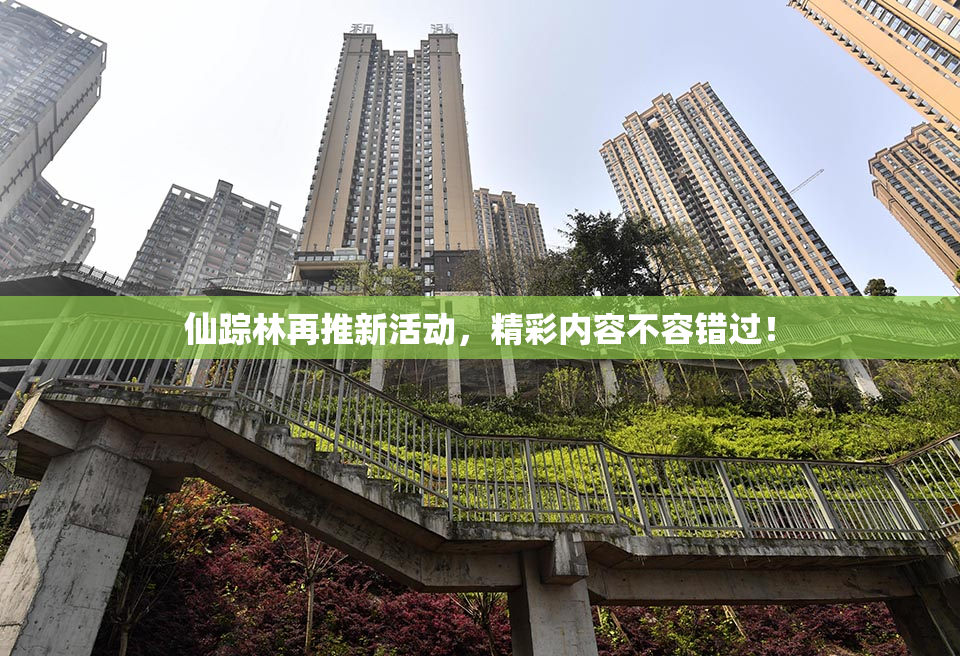 仙踪林再推新活动，精彩内容不容错过！