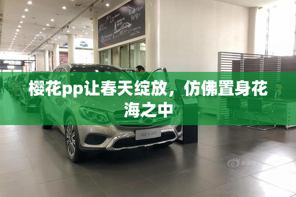 樱花pp让春天绽放，仿佛置身花海之中