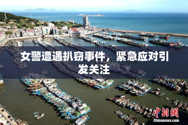 女警遭遇扒窃事件，紧急应对引发关注