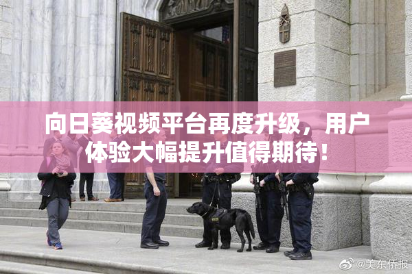 向日葵视频平台再度升级，用户体验大幅提升值得期待！