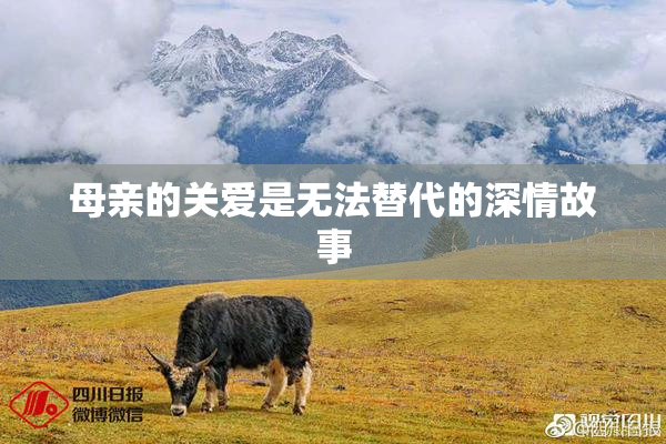 母亲的关爱是无法替代的深情故事
