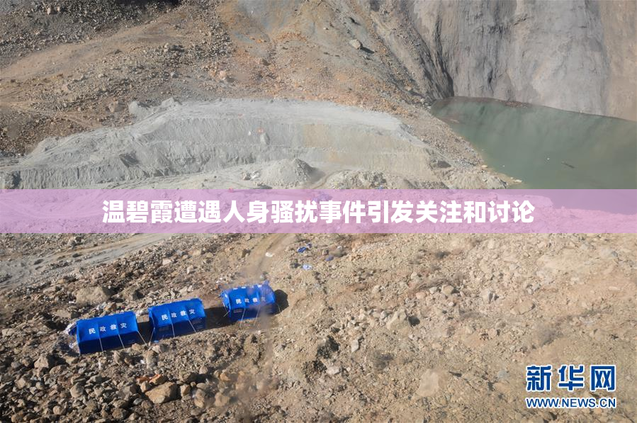 温碧霞遭遇人身骚扰事件引发关注和讨论
