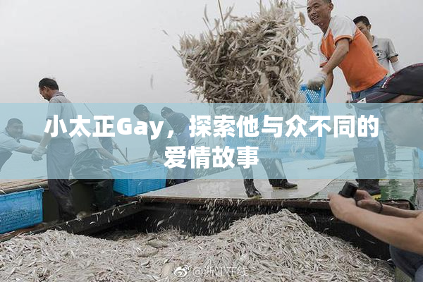 小太正Gay，探索他与众不同的爱情故事