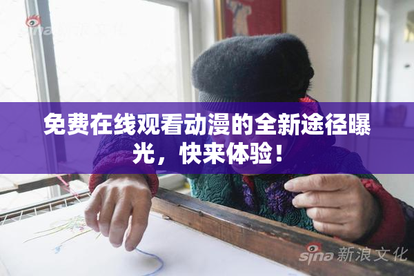 免费在线观看动漫的全新途径曝光，快来体验！