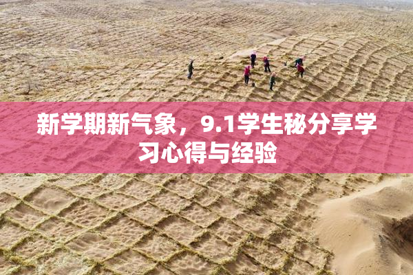 新学期新气象，9.1学生秘分享学习心得与经验