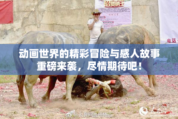 动画世界的精彩冒险与感人故事重磅来袭，尽情期待吧！