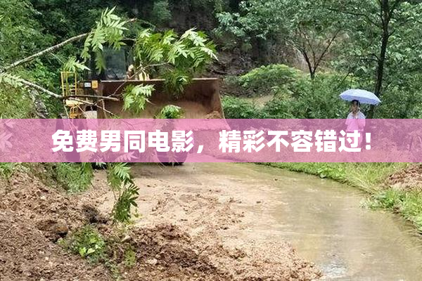 免费男同电影，精彩不容错过！