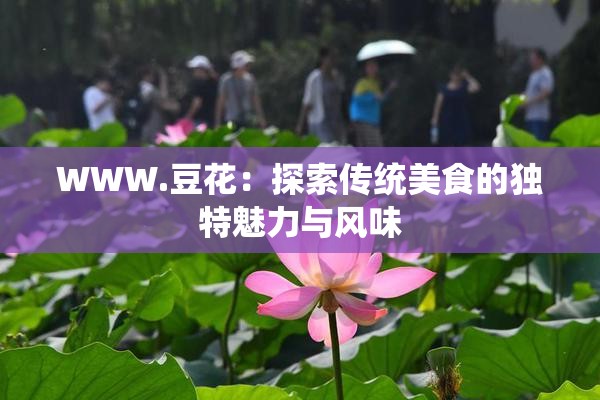 WWW.豆花：探索传统美食的独特魅力与风味