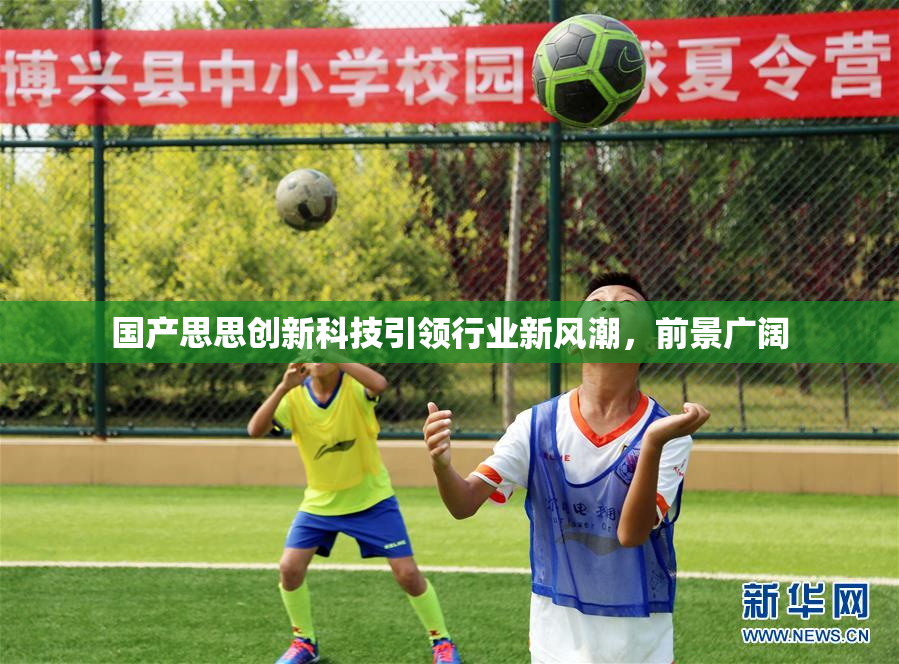 国产思思创新科技引领行业新风潮，前景广阔