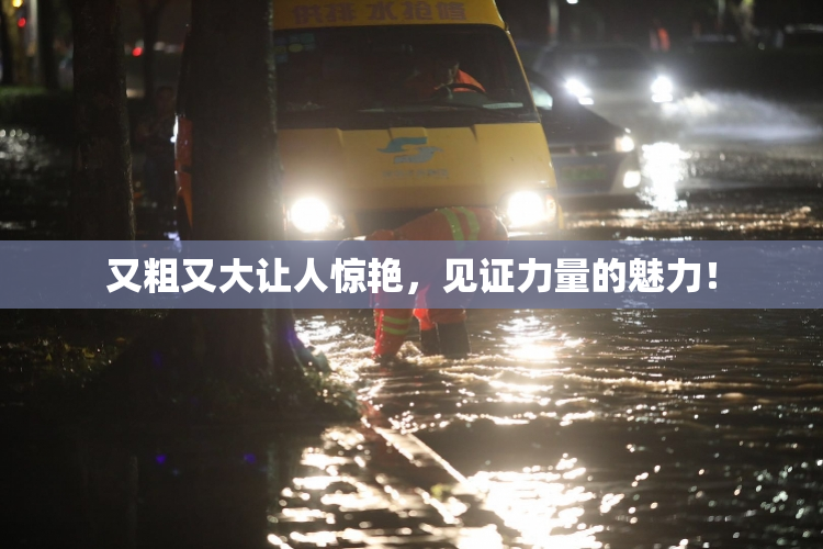 又粗又大让人惊艳，见证力量的魅力！
