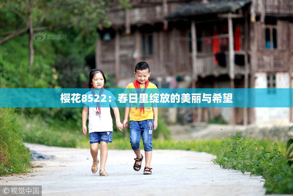 樱花8522：春日里绽放的美丽与希望
