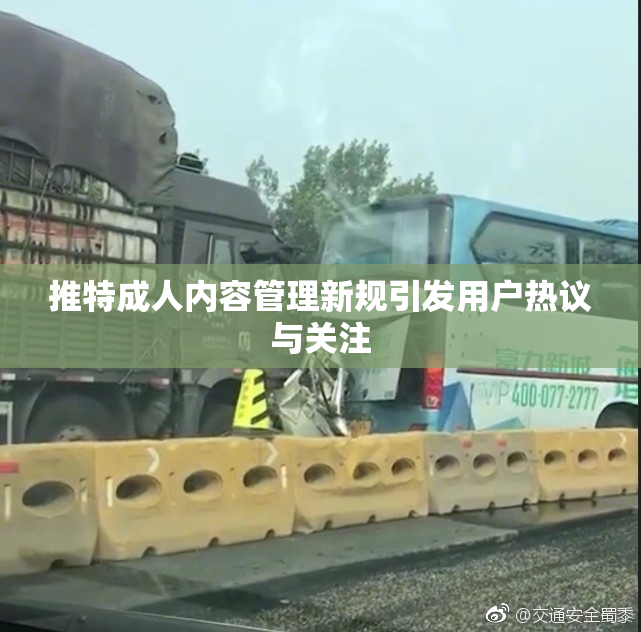 推特成人内容管理新规引发用户热议与关注