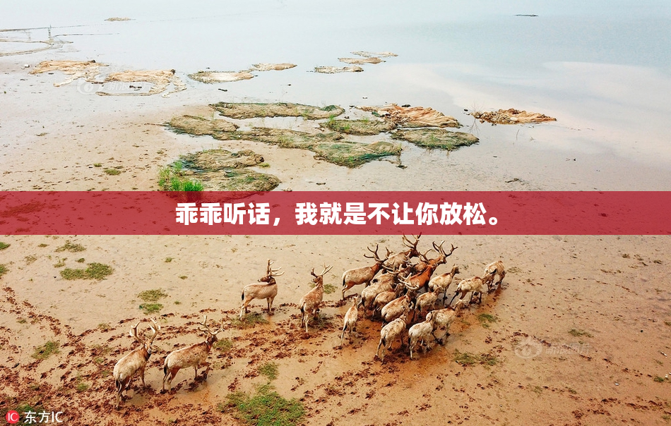 乖乖听话，我就是不让你放松。