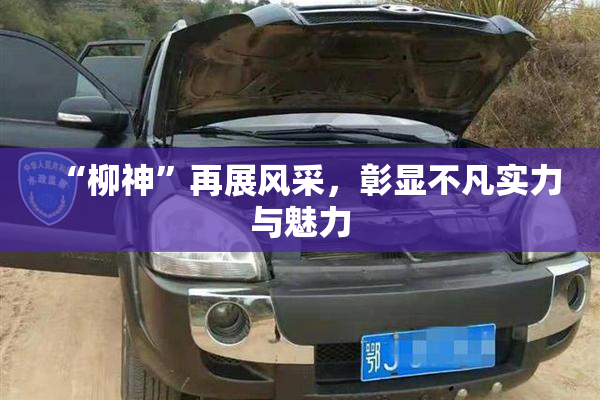 “柳神”再展风采，彰显不凡实力与魅力
