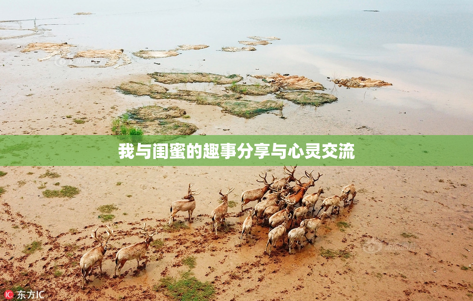 我与闺蜜的趣事分享与心灵交流
