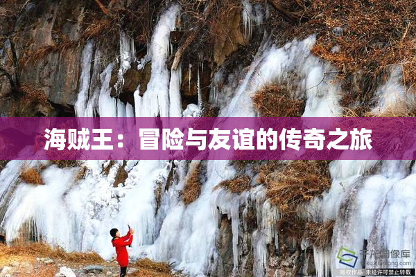 海贼王：冒险与友谊的传奇之旅