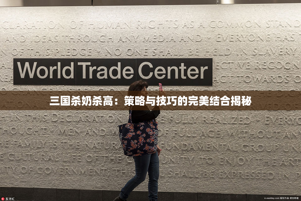 三国杀奶杀高：策略与技巧的完美结合揭秘