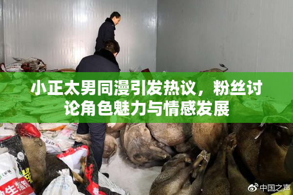 小正太男同漫引发热议，粉丝讨论角色魅力与情感发展