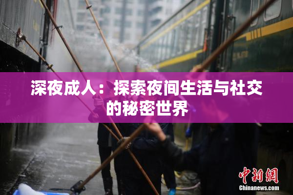 深夜成人：探索夜间生活与社交的秘密世界