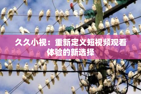 久久小视：重新定义短视频观看体验的新选择
