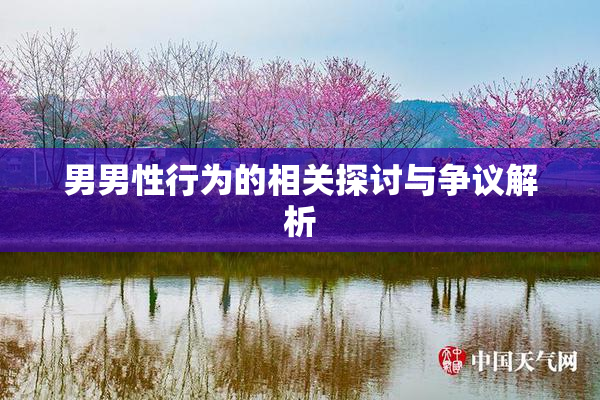 男男性行为的相关探讨与争议解析